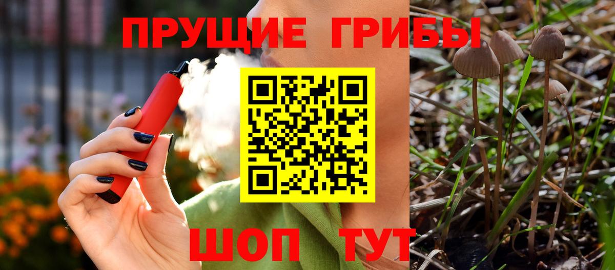 Псилоцибиновые грибы мицелий  Вход с VPN  Галлюциногенные грибы прущие грибы  Киселёвск 